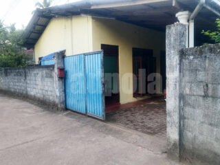Annex-For-Rent-Nittabuwa-01