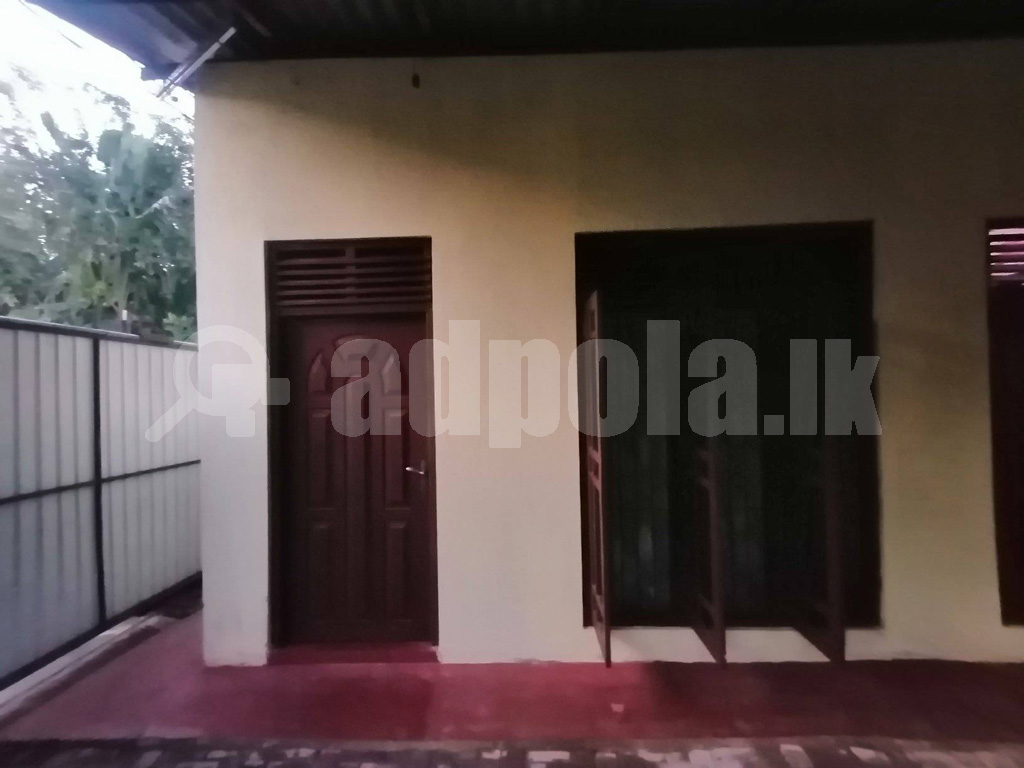 Annex For Rent Nittabuwa