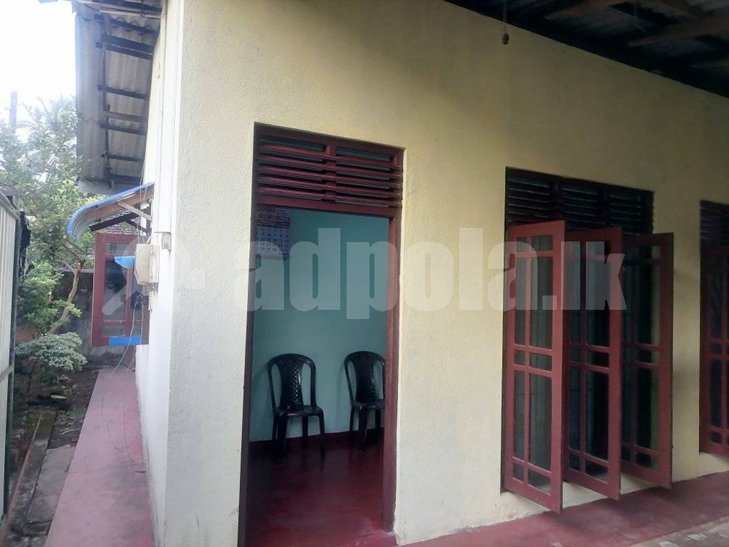 Annex For Rent Nittabuwa