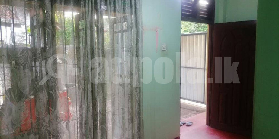 Annex For Rent Nittabuwa