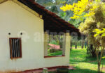 House For Rent At Kadawatha