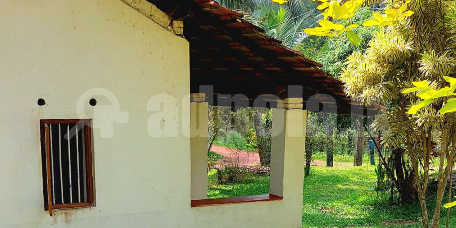 House For Rent At Kadawatha